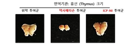 셀리버리, 코로나19 표준치료제 덱사메타손과 비교...'iCP-NI' 면역제어능력 입증