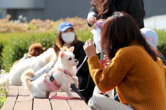 (사진은 기사 내용과 무관함) / 뉴스1 © News1 /사진=뉴스1