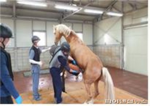 경기도 양질 승용마 생산돌입…동결정액 인공수정