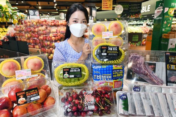14일 서울 등촌동 홈플러스 강서점에서 모델이 '서머 브레이크 세일' 행사 상품을 선보이고 있다. 홈플러스 제공