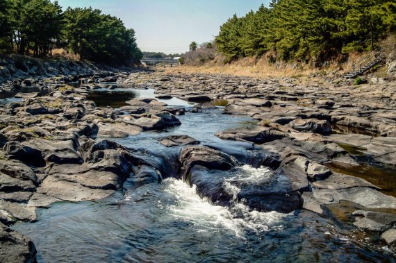 제주 서귀포시 강정천은 제주에 몇 안되는 유수하천이다. / News1 DB