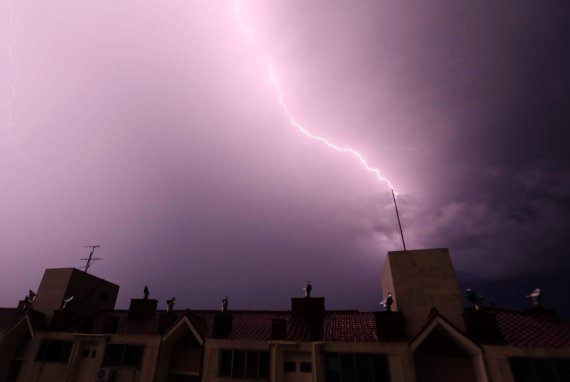 The Korea Meteorological Administration announced that 124,000 lightning strikes were observed in Korea last year. The photo shows lightning striking a lightning rod in an apartment in Jeju City. News 1