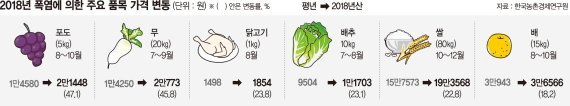 농축산물 생산도 위축… 장바구니물가 들썩 [폭염의 경제학]