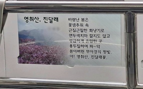 19일 오후 광주 지하철 1호선 열차 안에 선정적 내용의 시가 붙어있는 모습이다. (독자제공) 2021.7.20/뉴스1