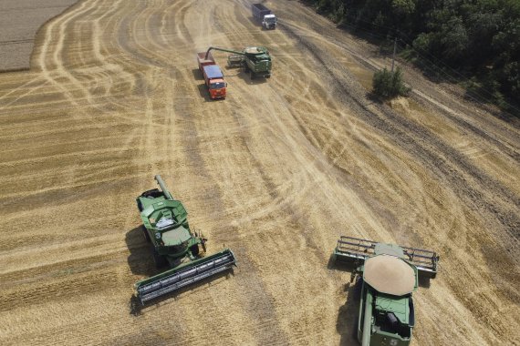 지난해 7월21일(현지시간) 러시아 트빌리스카야에서 밀이 수확되고 있다.AP뉴시스