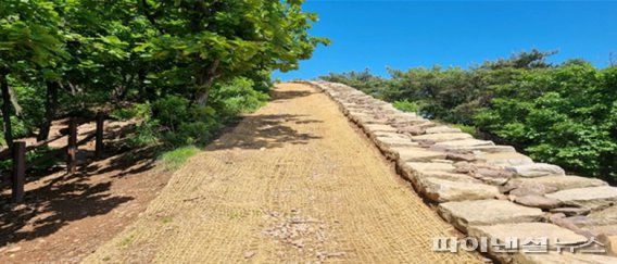 김포 문수산성 주변 등산로 훼손지 복원. 사진제공=김포시