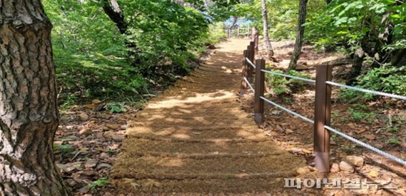 [포커스] 김포시 문수산 살리기 ‘올인’…산림힐링↑