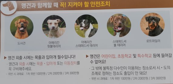 © 뉴스1