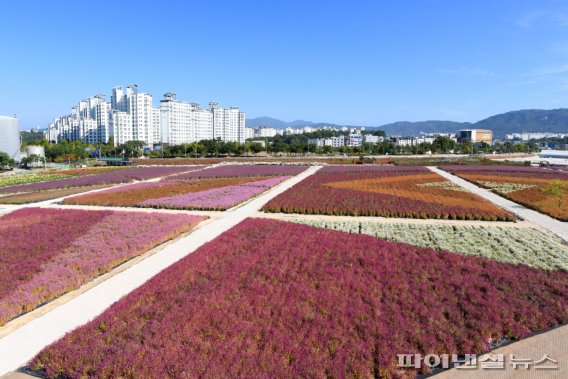 양주 나리농원. 사진제공=양주시