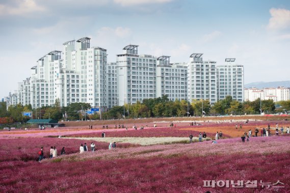 양주 나리농원. 사진제공=양주시