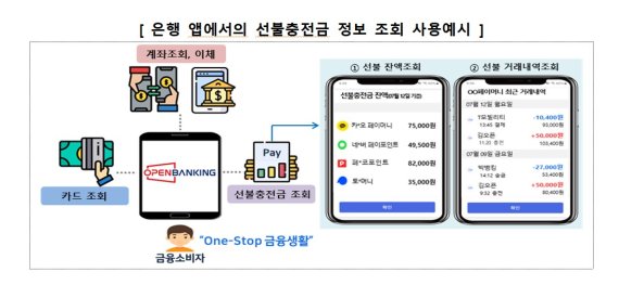 선불충전금 정보 사용 예시