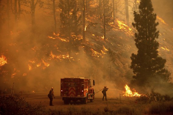 지난 8일(현지시간) 미 캘리포니아주 플루머스 국유림에서 발생한 '백워스' 화재 현장에서 소방관들이 화재를 진압하고 있다. 캘리포니아 전역에 덥고 건조한 날씨가 이어질 것으로 예보됐으며 소방관들은 이로 인해 여러 곳에서 발생한 산불과 싸우고 있다./사진=뉴시스
