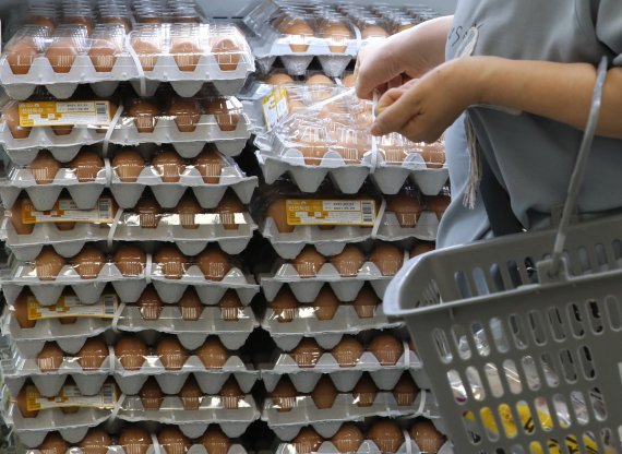 [서울=뉴시스] 조수정 기자 = 서울 시내 한 대형 마트에서 소비자가 달걀을 고르고 있다. 2021.07.22. chocrystal@newsis.com 이 사진은 기사 내용과 직접적 관련 없음 /사진=뉴시스