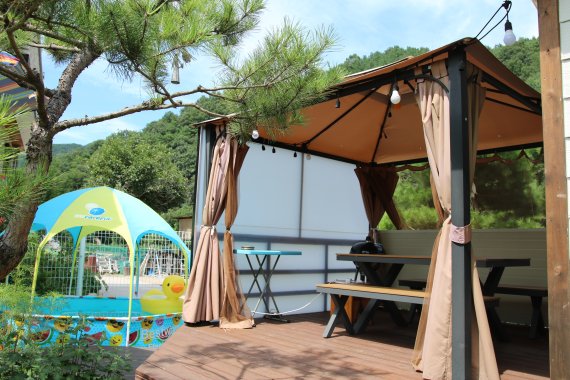 "휴가철 반려인 모셔요" 완주 디어마이펫, 펫팸족에 '러브콜'