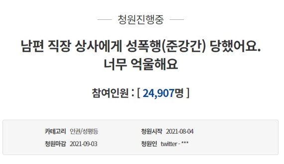 A씨가 남편의 직장 상사로부터 성폭행을 당했다는 내용의 국민청원을 게시했다. (청와대 국민청원 게시판 갈무리) © 뉴스1