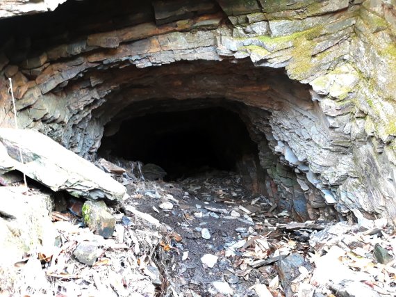 2017년 11월 11일 충북 보은군 내북면 한 토굴에서 40대 여성 A씨 시신이 발견됐다. 발견 당시 A씨 시신은 심하게 훼손된 상태였다.(뉴스1 DB)