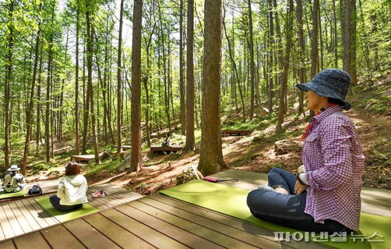 안양시 자연건강정원 조성추진…수암천 일대