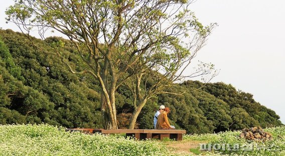 제주관광공사 선정 제주 대표 웰니스관광지 11곳은?