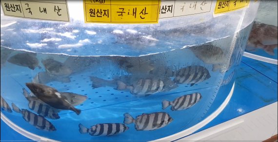 "흑산도産 아니면 돈 안 받아"...일본산 냉장 홍어 판 의정부 식당