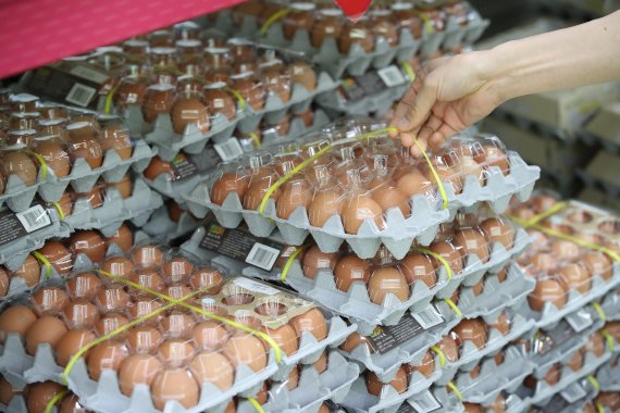 계란 합동점검반, 유독 비싼 부산·경남 계란 유통현장 점검
