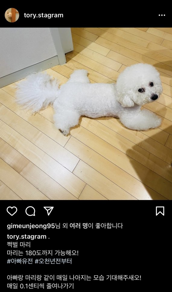 [서울=뉴시스] 윤석열 토리 인스타그램. 2021.08.13.