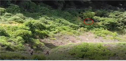 충북 충주시의 한 야산에서 소방대원들이 소방드론을 활용해 조난자를 발견하는 모습. 소방청 제공