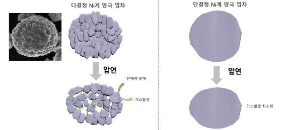 UNIST 교원창업기업 에스엠랩, EV 양극재(Ni98 NCMA 연구 그림. 기존 공침법으로 합성한 다결정 및 단결정 양극 소재. 압연 후 다결정 소재는 입자가 붕괴돼 전해액 분해 반응을 가속화하고 가스를 발생시킨다. 반면, 단결정은 입자 붕괴 현상을 최소화해 가스 발생과 불필요한 반응이 억제된다.