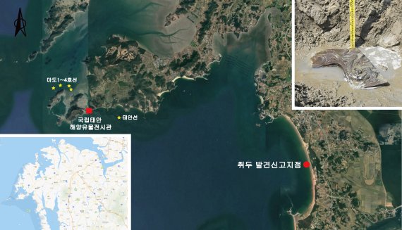 장식기와가 발굴된 지점 및 출토 상태. 문화재청 제공