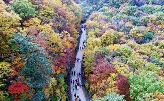 화남재로 전경. 하동군 제공