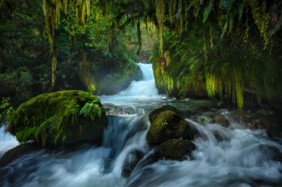 홀리포드 계곡 폭포©William Patino