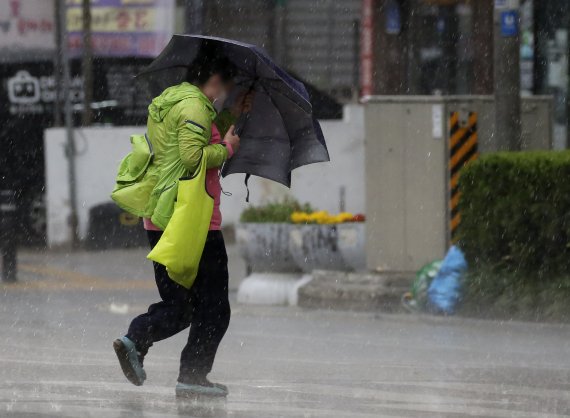 울산 남구 한 거리에서 시민이 우산을 부여잡고 걷는 모습. © News1 윤일지 기자