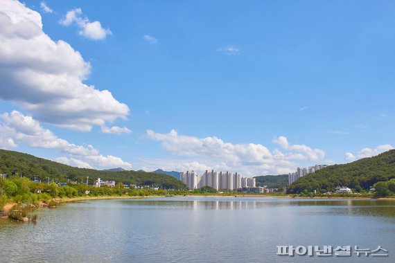 가을정취 시흥 물왕저수지 파란하늘 두드리다