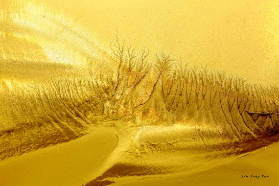 김성은 사진 '흙이 그린 그림'.."깨끗한 자연 꿈꿔요"