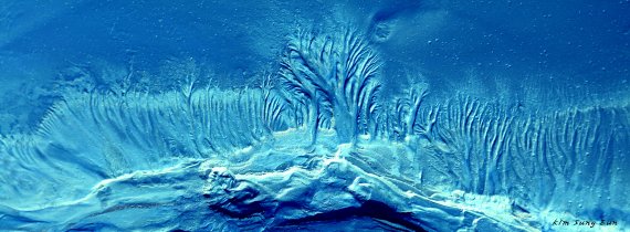 김성은 사진 '흙이 그린 그림'.."깨끗한 자연 꿈꿔요"