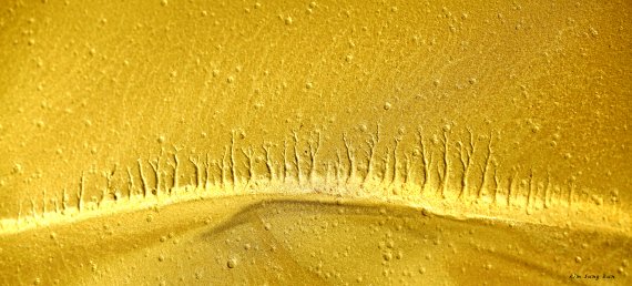 김성은 사진 '흙이 그린 그림'.."깨끗한 자연 꿈꿔요"