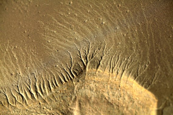 김성은 사진 '흙이 그린 그림'.."깨끗한 자연 꿈꿔요"