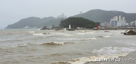 ▲ 지난 21일 부산 기장군 시링리 앞바다에서 목격된 흙탕물은 점차 남하해 해운대 송정해수욕장까지 넓게 번졌다. 기자 촬영.