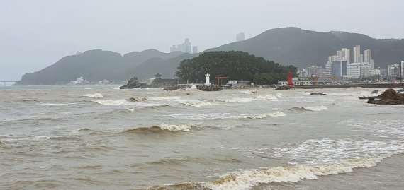 인근 공사로 흙탕물된 기장 앞바다… 양식 어민들 '울상'