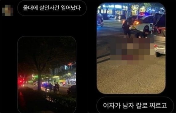 디시인사이드에 올라온 글 캡쳐