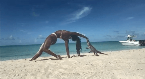 쿠바의 한 해변에서 요가를 하다가 이구아나에 물린 여성이 깜짝 놀라고 있다. /영상=트위터