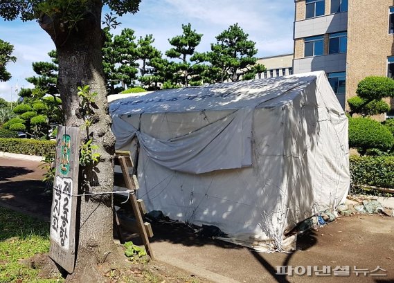 [네모이야기] 제주도청 앞 천막촌, 모두 철거한다더니