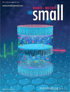 첨단 나노기술 분야의 국제 저명학술지 '스몰(Small)'