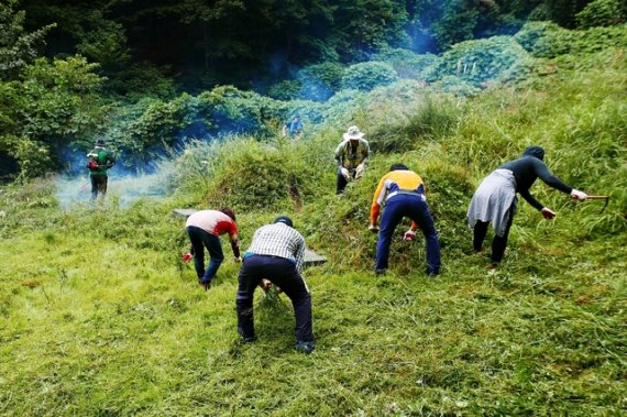 ‘4단계’ 제주, 코로나19 확산세 ‘둔화’…3단계 기준 근접