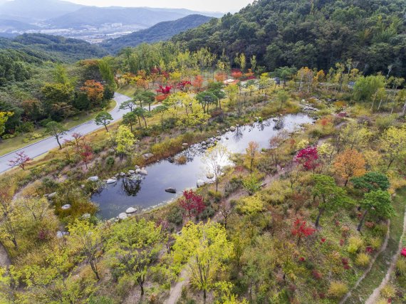 에버랜드 포레스트 캠프 일대 전경 /사진=삼성물산