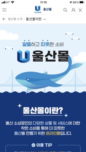 울산페이 울산몰