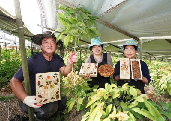 경북 영주시 풍기 인삼 재배 농가에서 농부들이 풍기인삼을 활용한 파리바게뜨 제품을 소개하고 있다. SPC그룹 제공