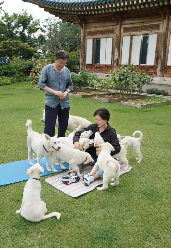 지난 2021년 8월 29일 문재인 대통령과 김정숙 여사가 관저 앞 마당에서 풍산개들과 시간을 보내는 모습. ⓒ뉴스1, 2021년 9월