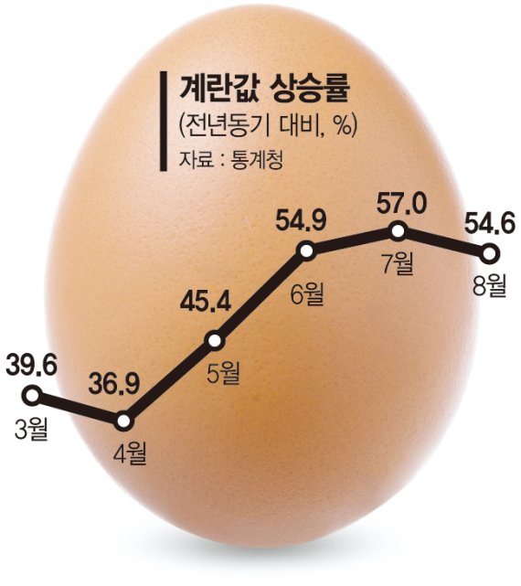 '에그플레이션' 못잡았다… 또 54% 급등