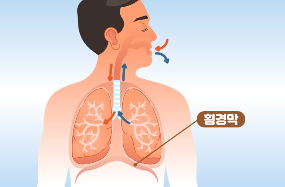 [서울=뉴시스] 횡격막이 부드럽게 잘 움직이면 위와 장 주변의 부교감신경 수용체들을 자극해 스트레스가 해소되고 소화작용도 좋아진다. (사진= 경희대병원 제공) 2021.09.02