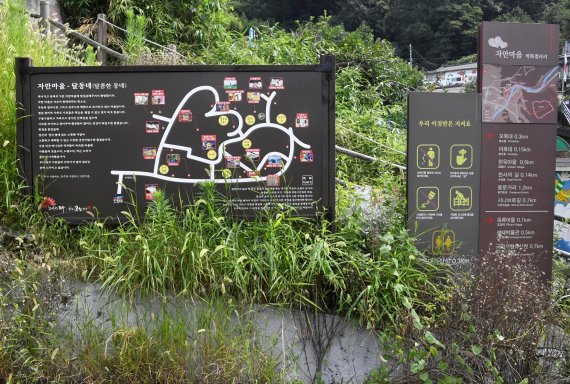 [네모이야기] 달동네(달콤한 동네) 자만벽화마을
